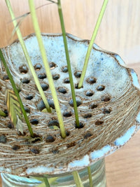 Ikebana topper